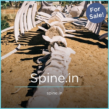 Spine.in