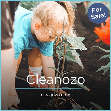 Cleanozo.com