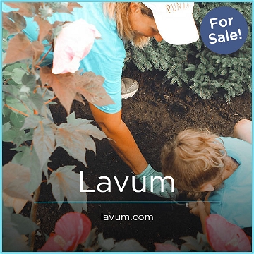 Lavum.com