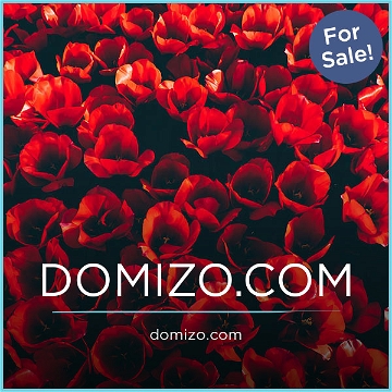 Domizo.com