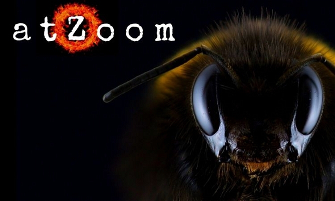 AtZoom.com