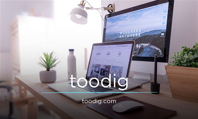 Toodig.com