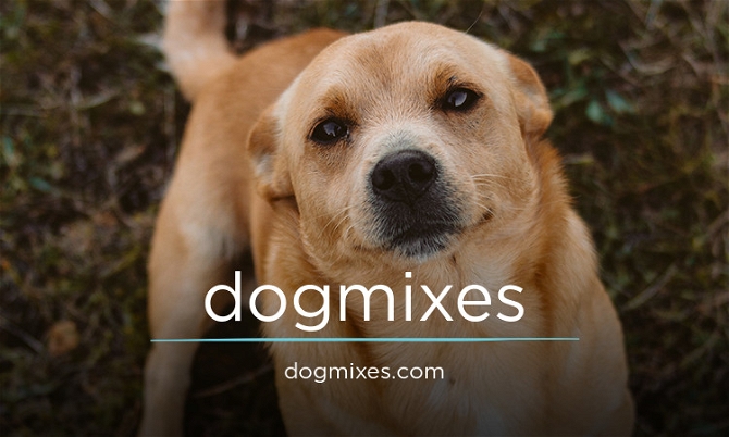 dogmixes.com