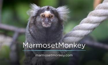 MarmosetMonkey.com