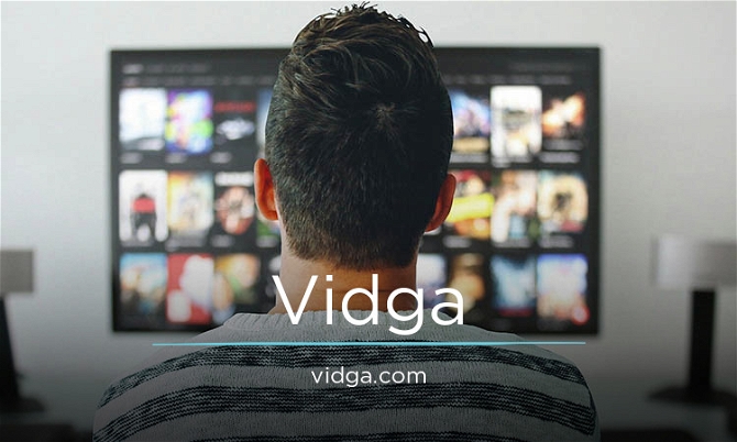 vidga.com