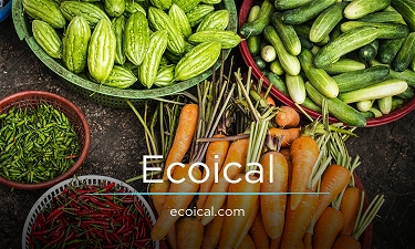 Ecoical.com