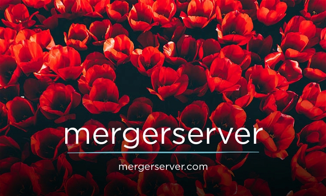 MergerServer.com