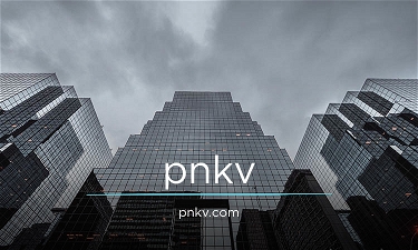 pnkv.com