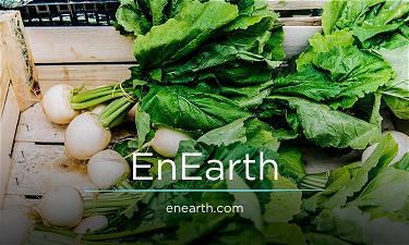 EnEarth.com