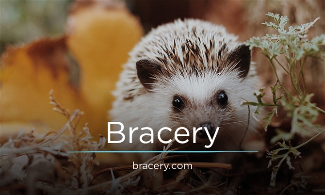 Bracery.com