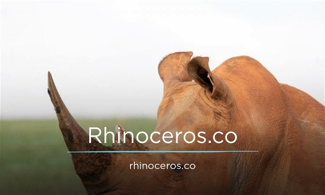 Rhinoceros.co