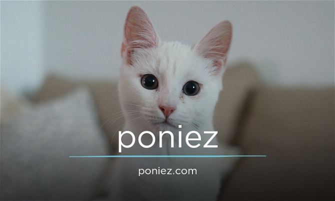 Poniez.com