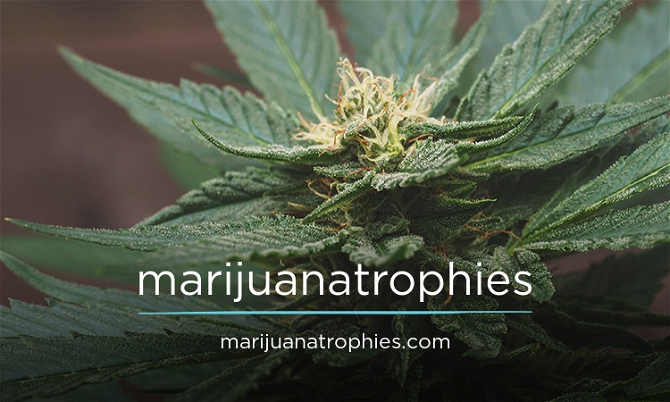 marijuanatrophies.com