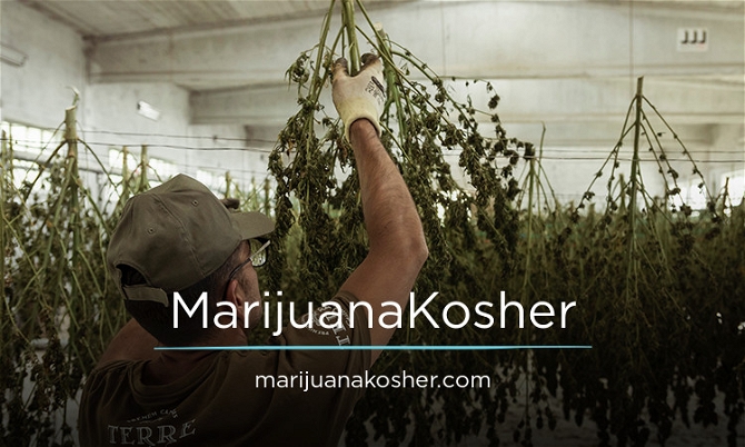 MarijuanaKosher.com