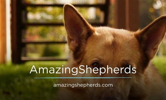 AmazingShepherds.com