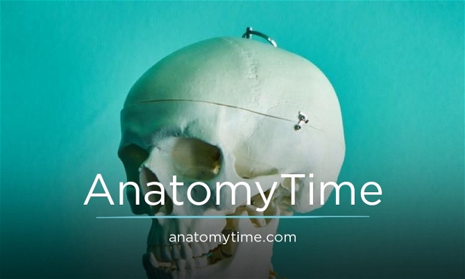 AnatomyTime.com