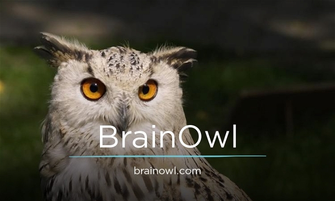 BrainOwl.com